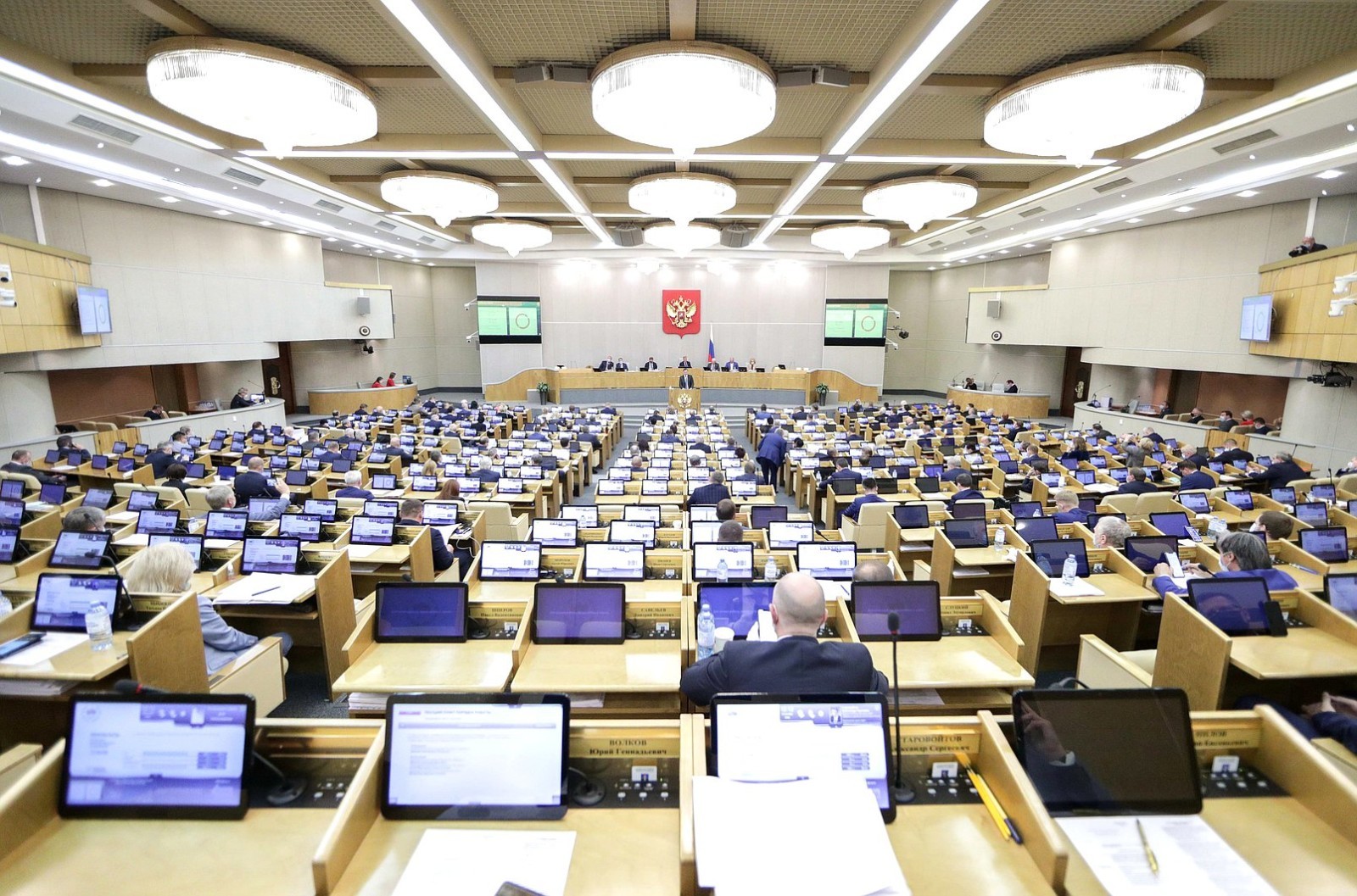 Госдума в первом чтении приняла законопроект о пожизненном заключении педофилов