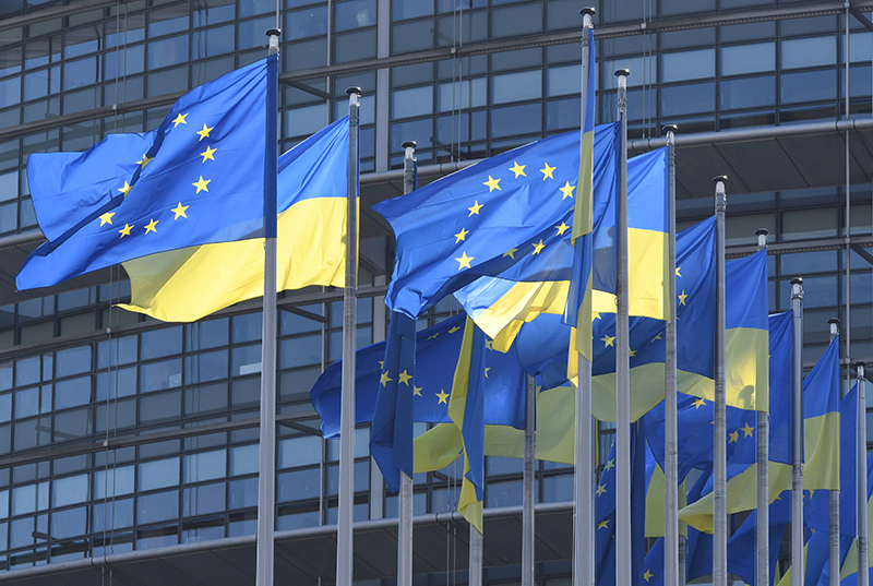 Австрия выступила против членства Украины в Евросоюзе