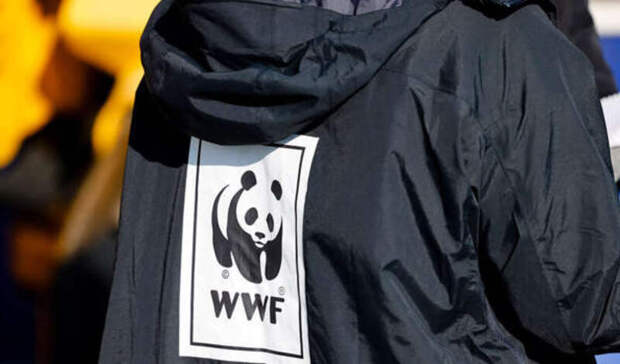 Российские экологи попросили признать Greenpeace и WWF иноагентами
