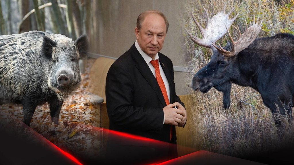 «граждане России голосовали за КПРФ - иноагентов и убийц животных?»