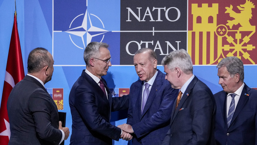 Турция поддержит заявки Финляндии и Швеции в НАТО на предстоящем саммите в Мадриде