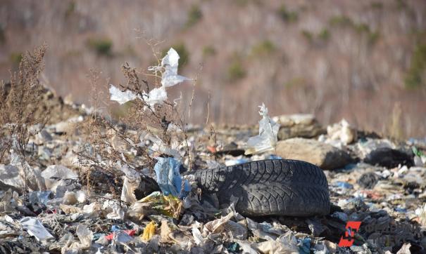 Государственная Дума приняла решение запретить продажу пластмассовых бутылок из-за их вреда экологии