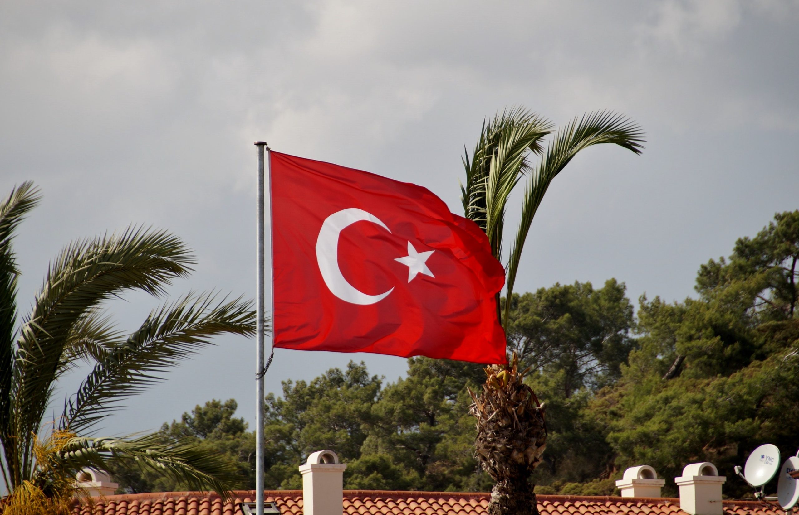 Турция с 1 июня отменяет тесты на антитела и ПЦР для въезда в страну