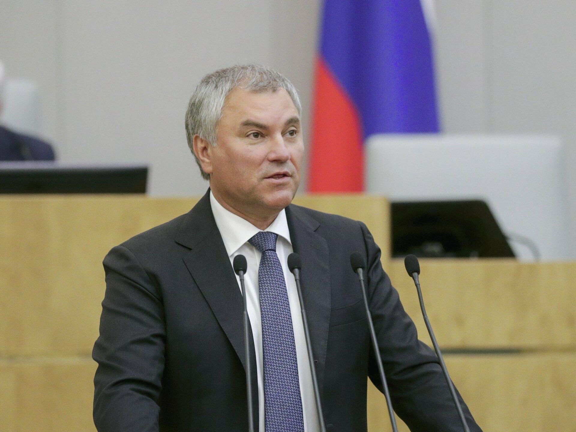 Председатель Госдумы Вячеслав Володин предложил депутатам во время летнего отпуска посетить ДНР и ЛНР