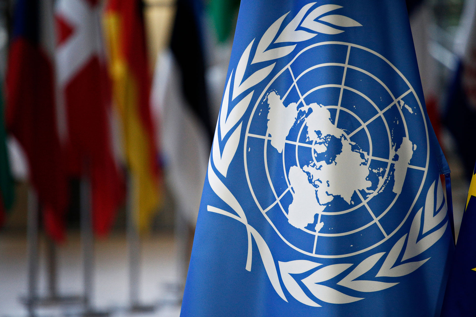 «Надеюсь, на этот раз голос разума в ООН возьмет верх»