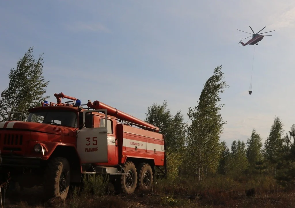 Пожары в Рязанской области — самое время «навести порядок» в сфере лесного хозяйства