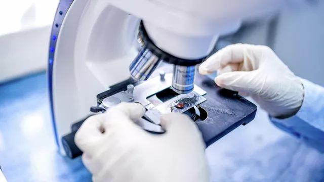 Ученые из КНР и Сингапура выявили новый генипавирус "Ланъя"