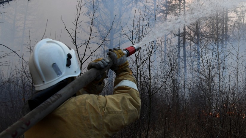 Михаил Мишустин заявил о снижении количества лесных пожаров на 15%