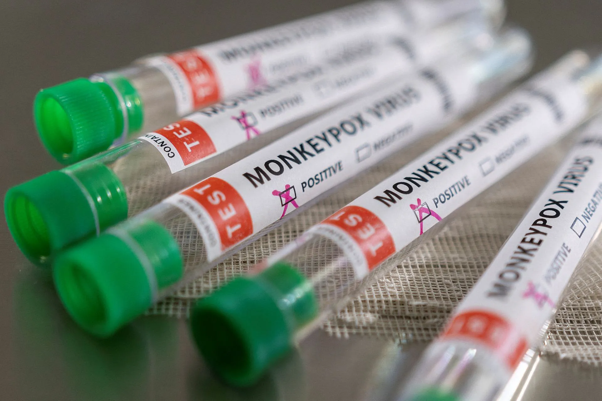 В Молдавии зарегистрировали первый случай заражения вирусом оспы обезьян
