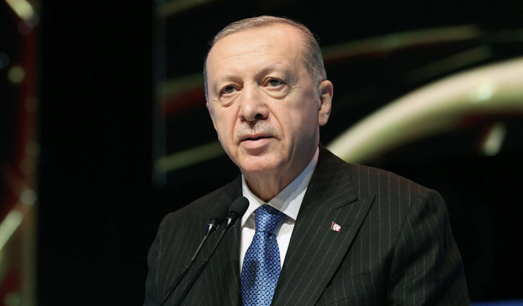 Президент Турции планирует провести переговоры с Путиным и Зеленским