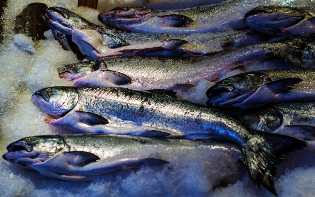 На Сахалине семьям мобилизованных власти раздадут свежемороженую рыбу