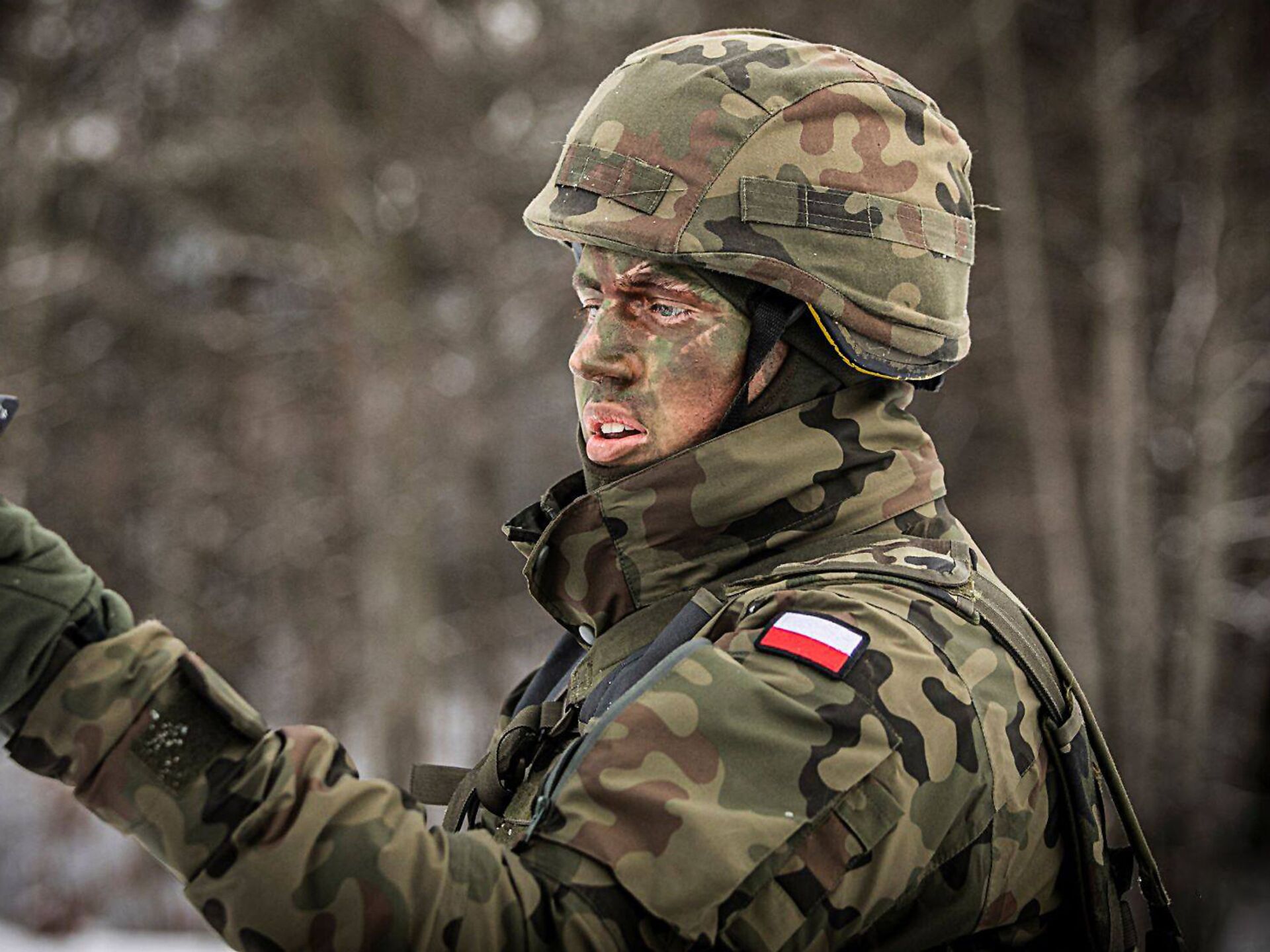 Польша готовится к боевым действиям с Россией
