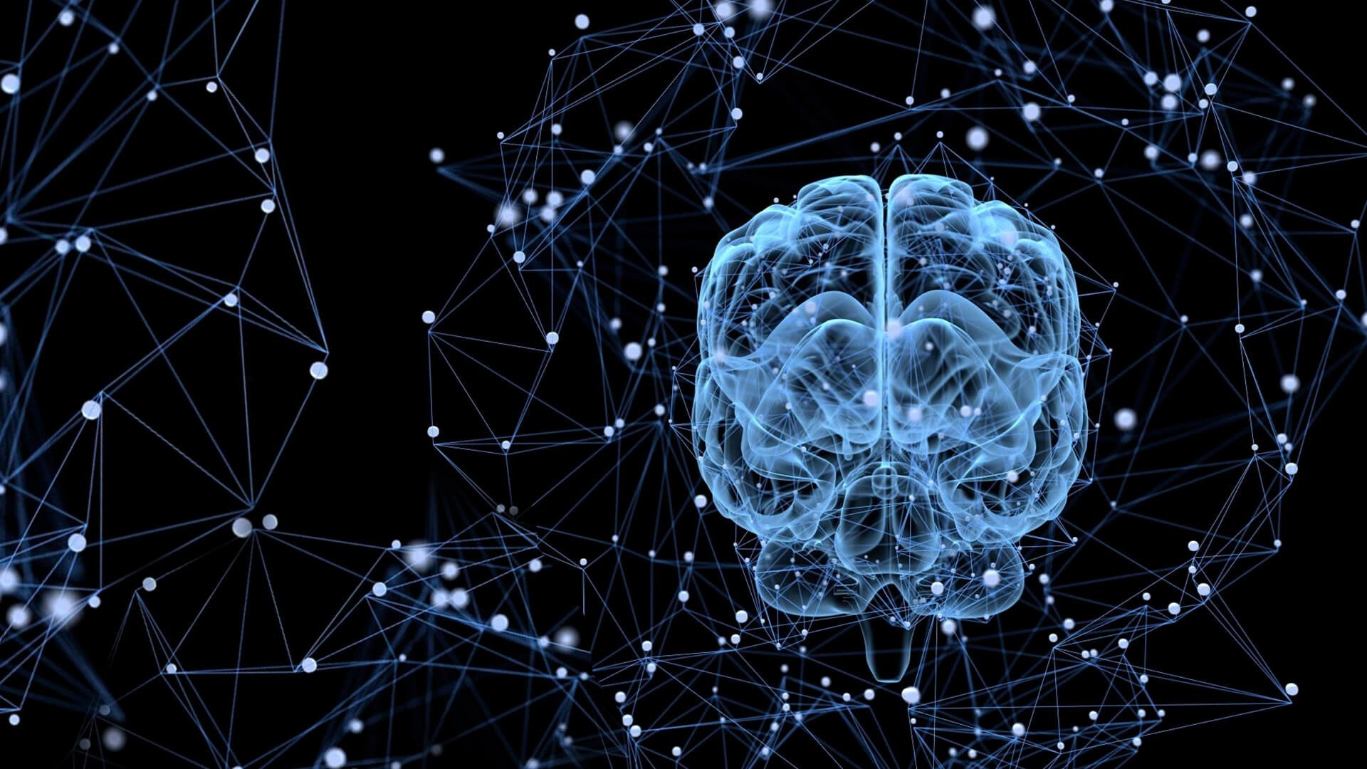 Нейронная сеть головного мозга человека