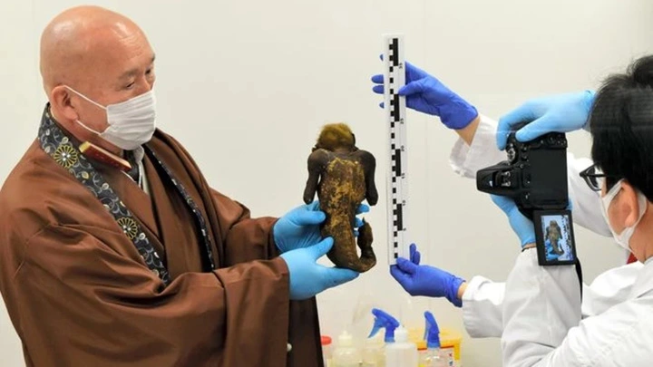 Ученые исследовали мумию русалки из японского монастыря фото