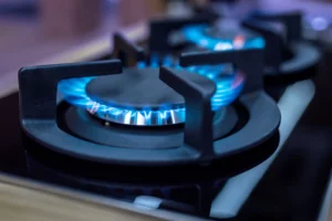 Дума приняла закон о безопасности газового оборудования фото