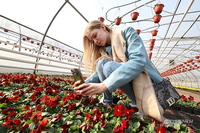 В Москве высадят рекордное количество цветов