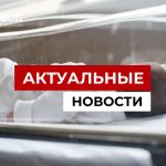 Младенец после вскрытия потерял все органы в Ставрополье