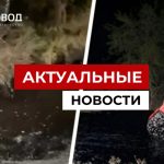 В Чечне школьник утонул в яме с мазутом