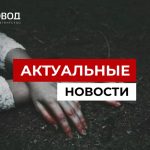 В Челябинской области две девушки похитили женщину и заставили копать могилу руками