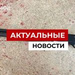 В Брянске восьмиклассница устроила стрельбу в школе
