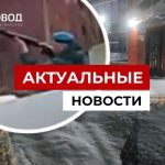 Под Новосибирском дачник, на которого жаловались соседи, убил человека